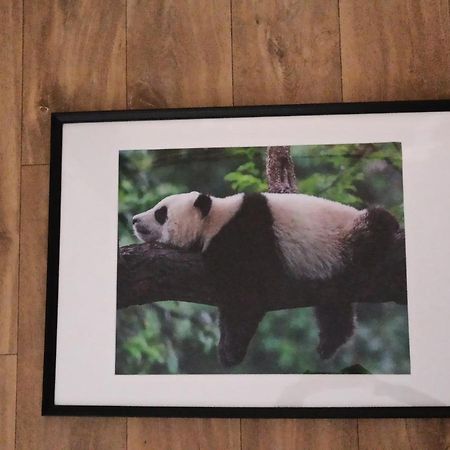 A 4 Min Du Zoo De Beauval La Maison A Partager Ch2 1Er Etage Saint-Aignan  Ngoại thất bức ảnh