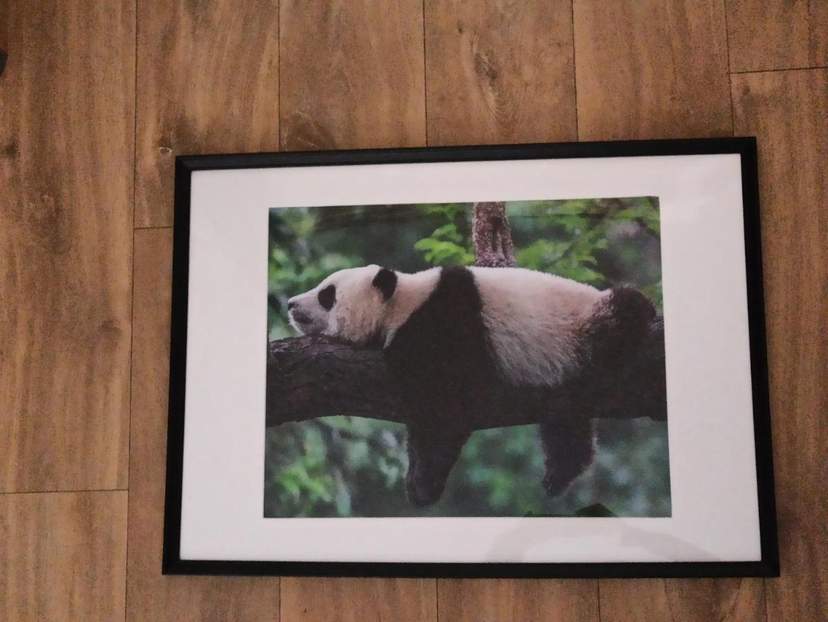 A 4 Min Du Zoo De Beauval La Maison A Partager Ch2 1Er Etage Saint-Aignan  Ngoại thất bức ảnh