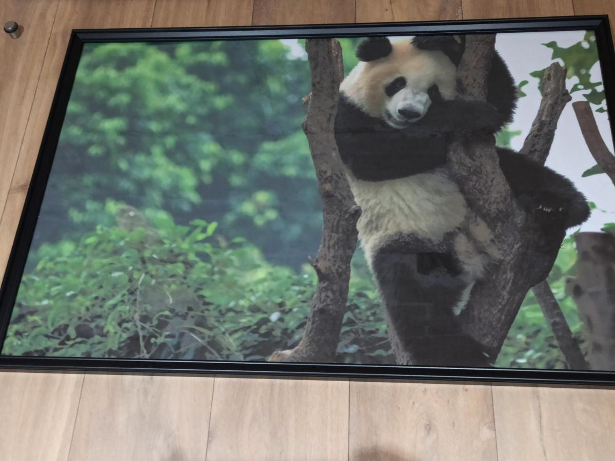 A 4 Min Du Zoo De Beauval La Maison A Partager Ch2 1Er Etage Saint-Aignan  Ngoại thất bức ảnh